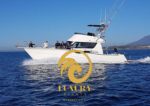 Alquilar barco en Puerto José Banús Rodman 1250 Fisher