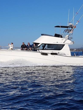 Alquilar barco en Puerto José Banús Rodman 1250 Fisher