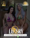 contratar show dúo femenino de stripper en sevilla a domicilio para despedidas
