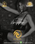 Taller De Stripper (1) - Taller De Stripper - Master Class Striptease - Trabajar Como Stripper 2026