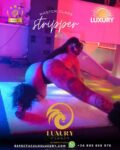 taller de stripper