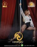 Pole Dance Erótico para fiestas privadas