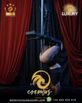 Pole Dance Erótico para fiestas eróticas