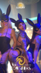 Conejitas Playboy para fiesta erótica privada contratar en España