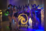 Fiesta bunny con grupo de conejitas para despedida de soltera y soltero